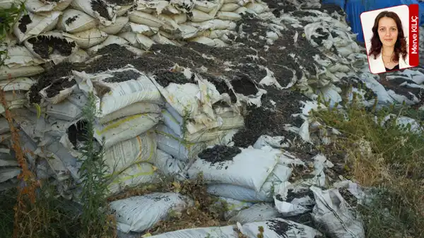 Savaştepe’de Milli Eğitim Bakanlığı’na özel üretilen yüzlerce ton kömür çürümeye terk edildi