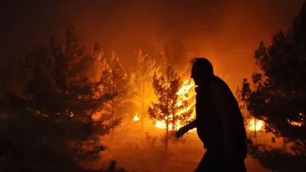 Silifke’deki orman yangınıyla ilgili 4 kişi tutuklandı