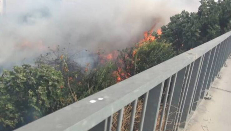 Silivri TEM Otoyolu’nda yangın
