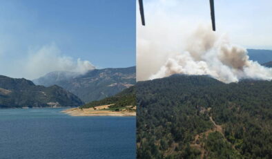 Sinop’ta orman yangını: Bir köy tahliye edildi