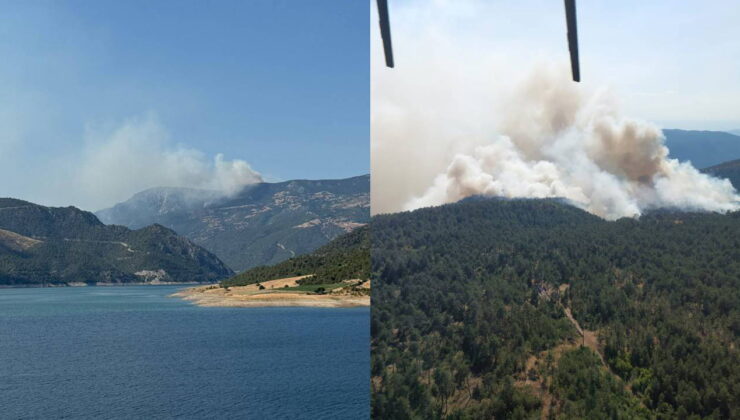 Sinop’ta orman yangını: Bir köy tahliye edildi