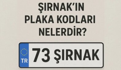 Şırnak’ın plaka kodu ne? Şırnak’ın plaka numarası kaç? Şırnak ve ilçelerinin plaka harfleri…