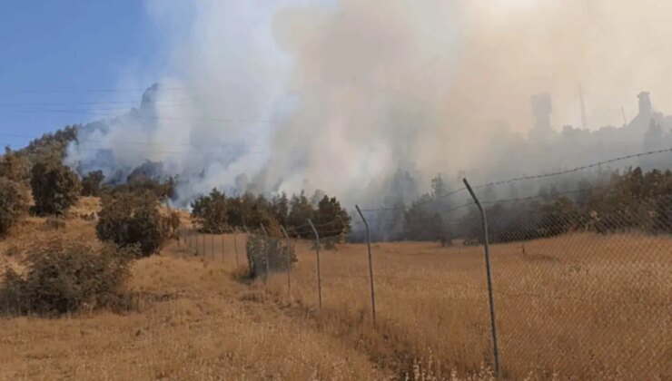 Şırnak’ta korkutan alevler! Müdahale başladı