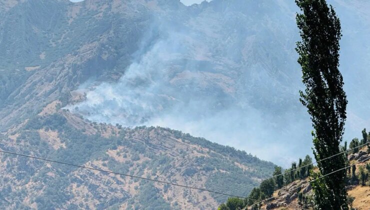 Şırnak’ta orman yangını… Kontrol altına alınamıyor!