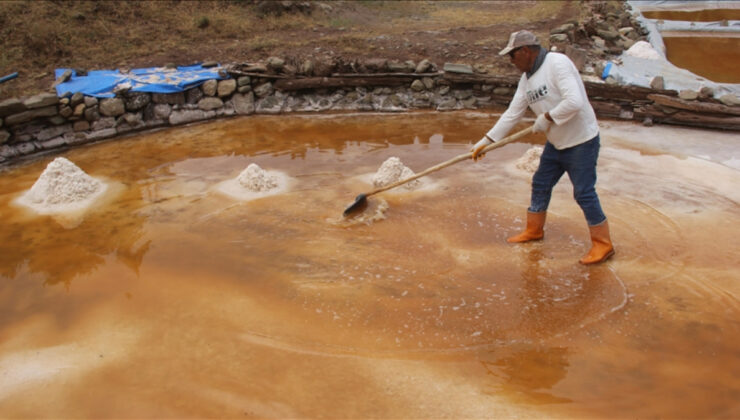 Sivas’ta çıkartılan ‘altın tuz’u ünlü şefler tercih ediyor