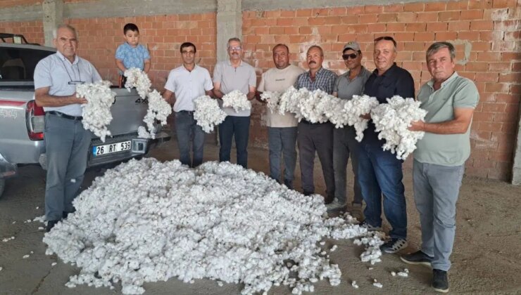 Söke Ovası’nda ilk hasat başladı: Kilosu 300 TL!