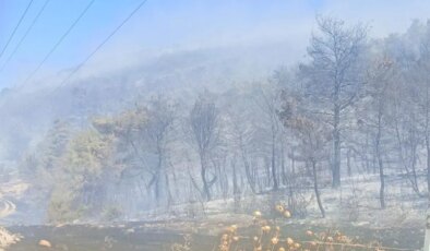 Soma’da orman yangını: Mahalle tahliye edildi, bir kişi gözaltında!