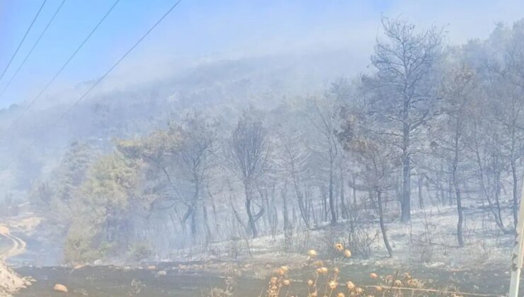 Soma’da orman yangını: Mahalle tahliye edildi, bir kişi gözaltında!