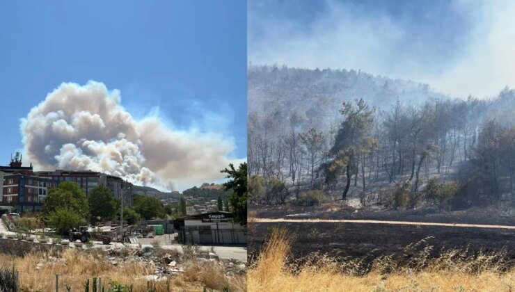 Soma’daki orman yangını kontrol altına alındı: Soruşturmada yeni gelişme!