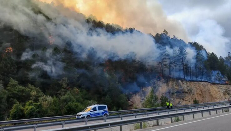 Son dakika… Bolu’da orman yangını paniği: Rüzgarın etkisiyle büyüdü!