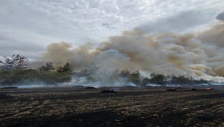 Son Dakika… Bursa’da orman yangını!