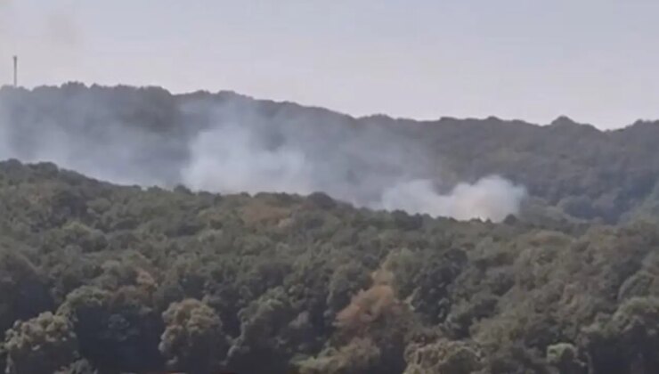 Son Dakika… İstanbul Sarıyer’de orman yangını