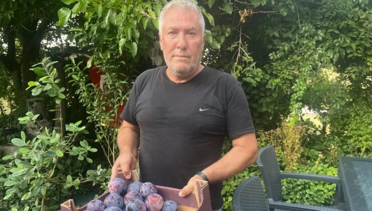 Süleymanlı Yaylası’nda yetişiyor:  5 adedi 1 kilo geliyor