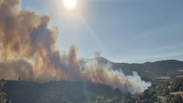 Susurluk’ta orman yangını: 12 saatte kontrol altına alındı!