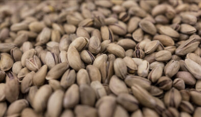 Tarım, Ticaret ve Hazine bakanlıkları fıstık sektörü denetlendi