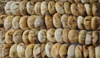 Tariş, Aydın’da kuru incir alım fiyatlarını açıkladı