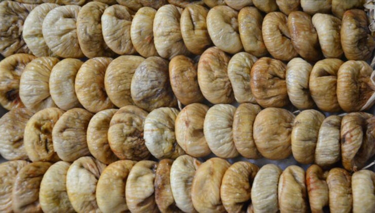 Tariş, Aydın’da kuru incir alım fiyatlarını açıkladı