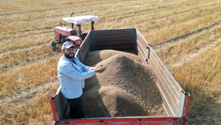 Tarlada kilosu 100 TL! Türkiye’nin ihtiyacının yüzde 75’i buradan karşılanıyor…