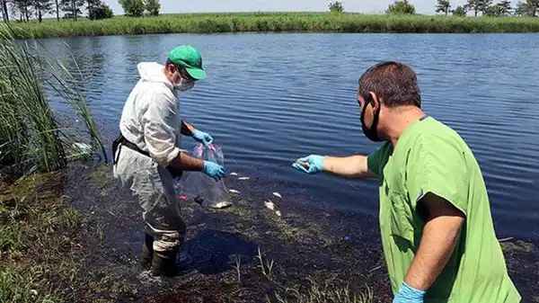 Tekirdağ’da su seviyesi düşen göletteki balıklar öldü