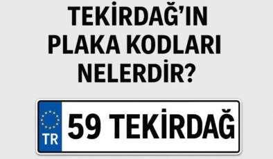 Tekirdağ’ın plaka kodu ne? Tekirdağ’ın plaka numarası kaç? Tekirdağ ve ilçelerinin plaka harfleri…