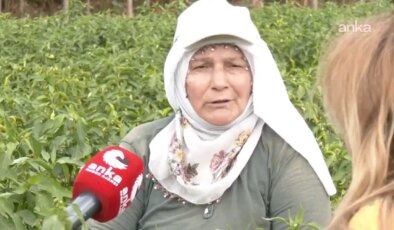 Tokatlı kadın tarım işçileri: ‘Çıkmazın içindeyiz. Senelerce AK Parti’ye oy verdim ama bu yıl çok felaket’