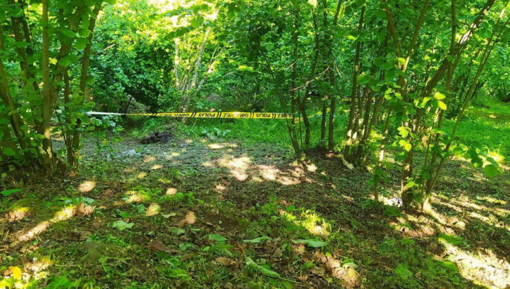 Trabzon’da fındık bahçesinde çalışan çift ölü bulundu