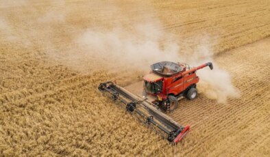 TÜİK açıkladı: Ürünlerdeki yükseliş devam ediyor!