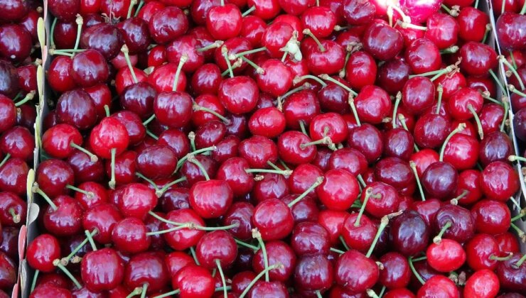 Türk kirazı o ülkede daha ucuz: Türkiye’de kilosu 1000 TL!