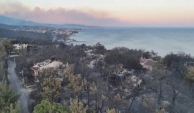 Türkiye yangınlarla boğuşurken etkilenen bölgelerden görüntüler yürekleri burktu: ‘Hayallerimiz yandı’