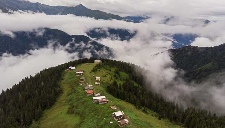 Türkiye’nin İsviçre’si: Pokut Yaylası