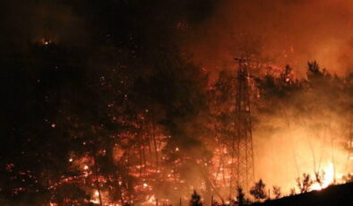 Türkiye’nin yeşili yok oluyor! Güneyde ormanlar alevlere teslim…