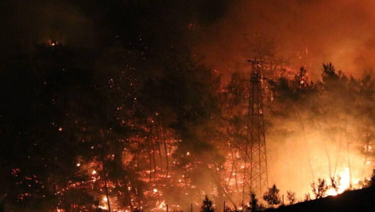 Türkiye’nin yeşili yok oluyor! Güneyde ormanlar alevlere teslim…