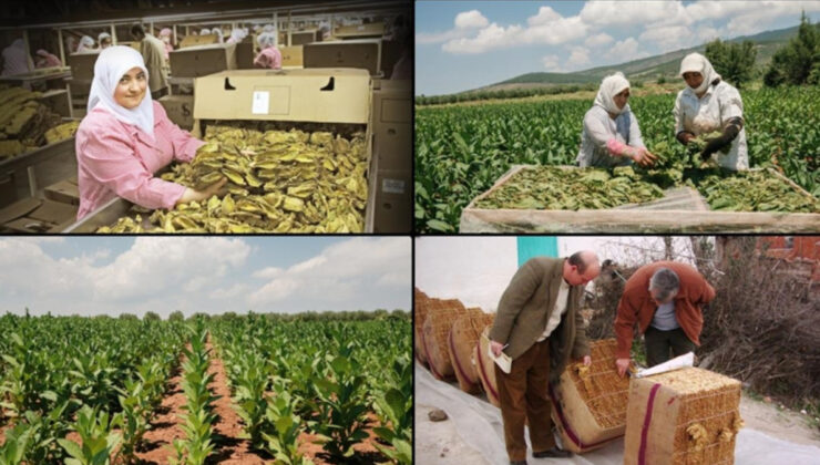 Tütün mamullerinin üretim ve ticaretine ilişkin esaslar düzenlendi