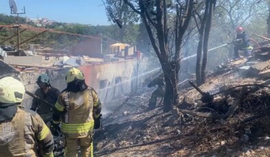 Ümraniye’de ağaçlık alanda çıkan yangın paniğe neden oldu