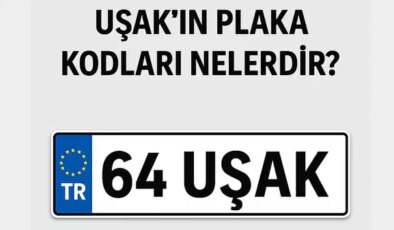 Uşak’ın plaka kodu ne? Uşak’ın plaka numarası kaç? Uşak ve ilçelerinin plaka harfleri…