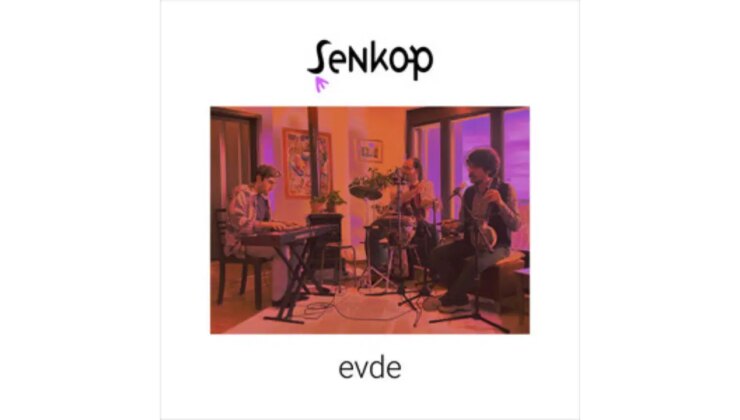 Vitrindeki Albümler