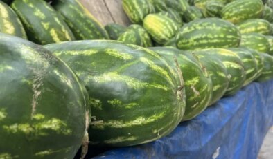 Yapay zeka pazara indi: Karpuz seçimi artık onda!