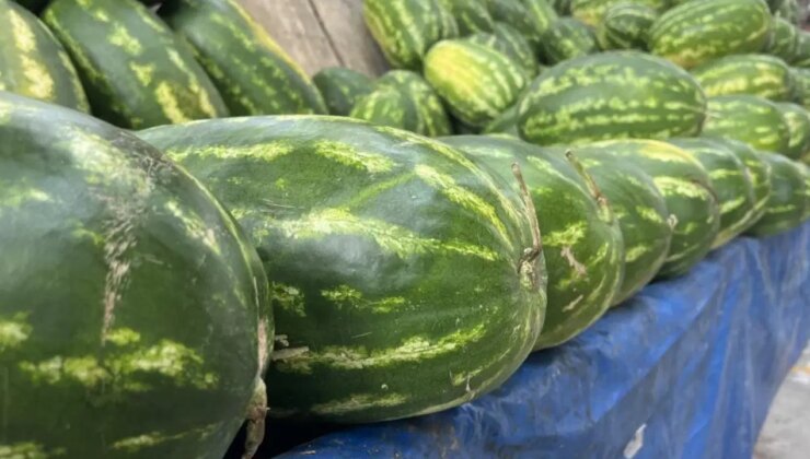 Yapay zeka pazara indi: Karpuz seçimi artık onda!