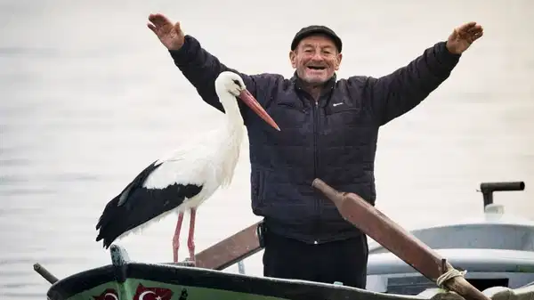 Yaren Leylek’in 2 yavrusu göç yolunda: Biri Mısır’a, biri de Batı Şeria’ya ulaştı
