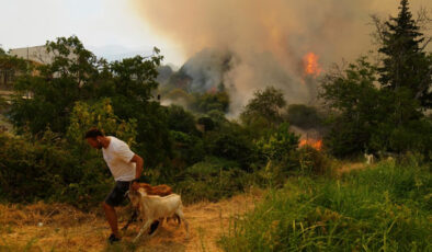 Yunanistan kabusu yaşıyor: Ülke genelinde son 4 günde 242 orman yangını çıktı