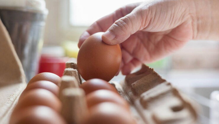 Yunanistan’da yumurtalarda ‘tehlikeli kimyasallar’ alarmı