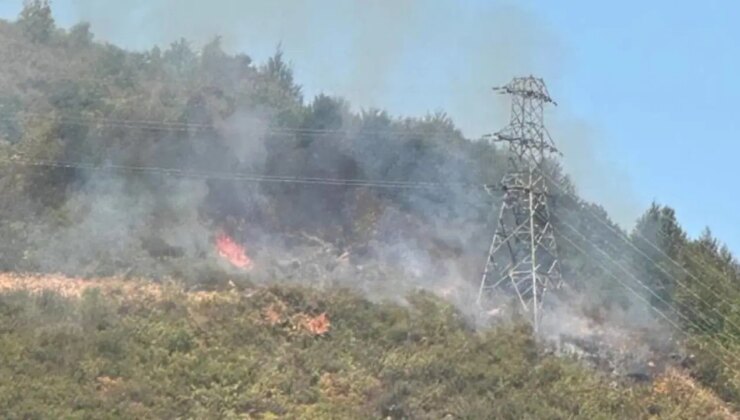 Zonguldak’ta ormanlık alanda yangın: 2 saatte söndürüldü!