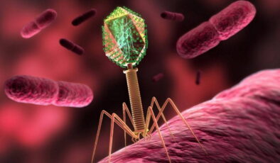 2050’de milyonlar ölebilir: Faj tedavisi süper mikroplara çare olabilir mi?