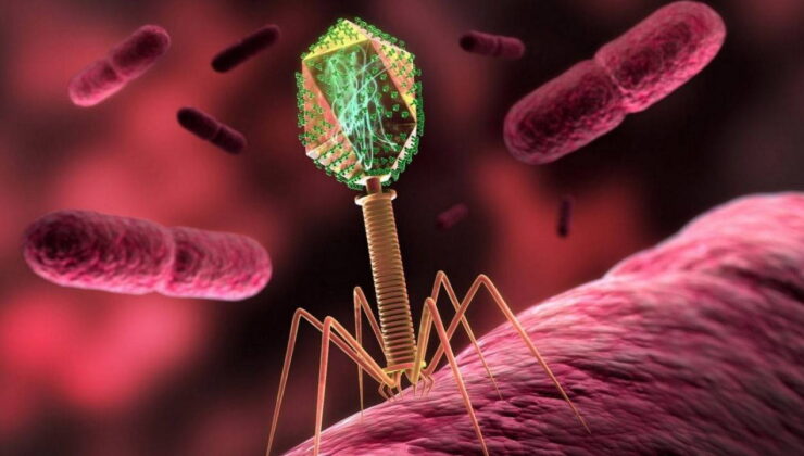 2050’de milyonlar ölebilir: Faj tedavisi süper mikroplara çare olabilir mi?