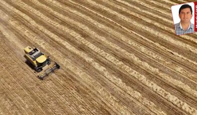 24 yıl sonra yeniden tarım sayımı: ‘Üreticiyi ayaklarına çağırıyorlar’
