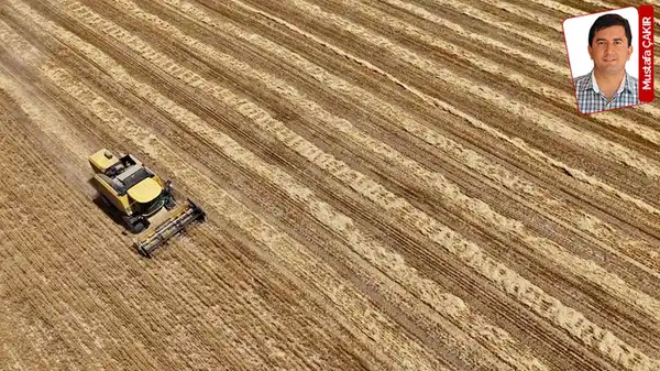 24 yıl sonra yeniden tarım sayımı: ‘Üreticiyi ayaklarına çağırıyorlar’