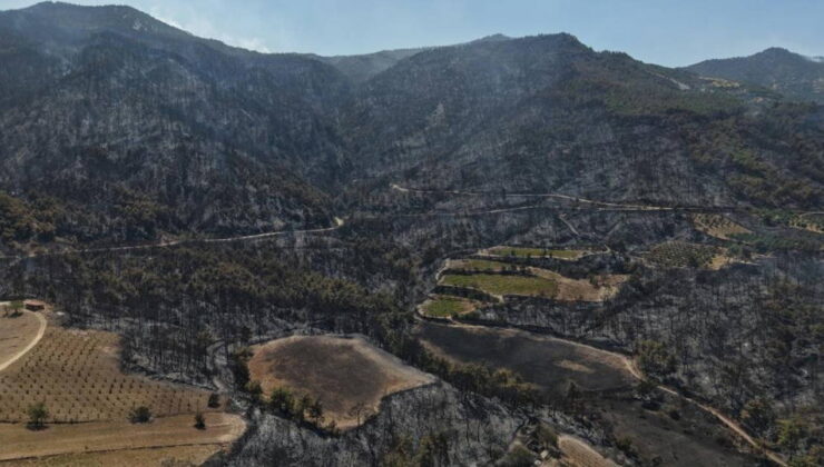 5 günün ardından… Buldan yangınında felaketin boyutu havadan görüntülendi