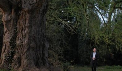 82. Venedik Festivali son buluyor: Bitkilerin iç sesi, doğanın ritmi…