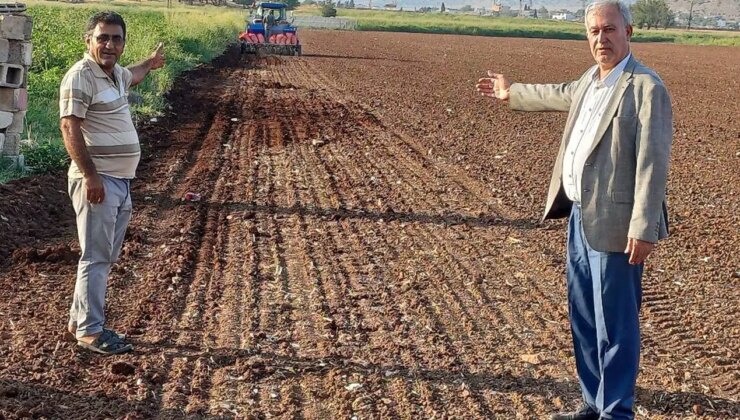 9 ay boyunca bebek gibi bakılıyor: Araban Ovası’nda hasat başladı…