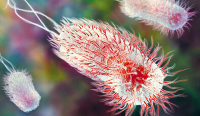 ABD’de yapay zeka yardımıyla bazı bakterileri yok edebilen virüsler üretildi